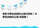 老款卡罗拉音响怎么调才好听（卡罗拉音响怎么调 求指教）