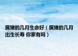 属猪的几月生命好（属猪的几月出生长寿 你家有吗）