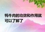 牦牛肉的功效和作用就可以了解了