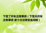 下雪了开车注意事项（下雪天开车注意事项 要十分注意安全问题）