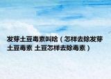发芽土豆毒素叫啥（怎样去除发芽土豆毒素 土豆怎样去除毒素）