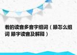 着的读音多音字组词（膝怎么组词 膝字读音及解释）