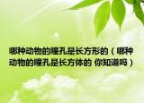 哪种动物的瞳孔是长方形的（哪种动物的瞳孔是长方体的 你知道吗）