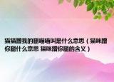 猫猫蹭我的腿喵喵叫是什么意思（猫咪蹭你腿什么意思 猫咪蹭你腿的含义）