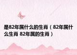 是82年属什么的生肖（82年属什么生肖 82年属的生肖）